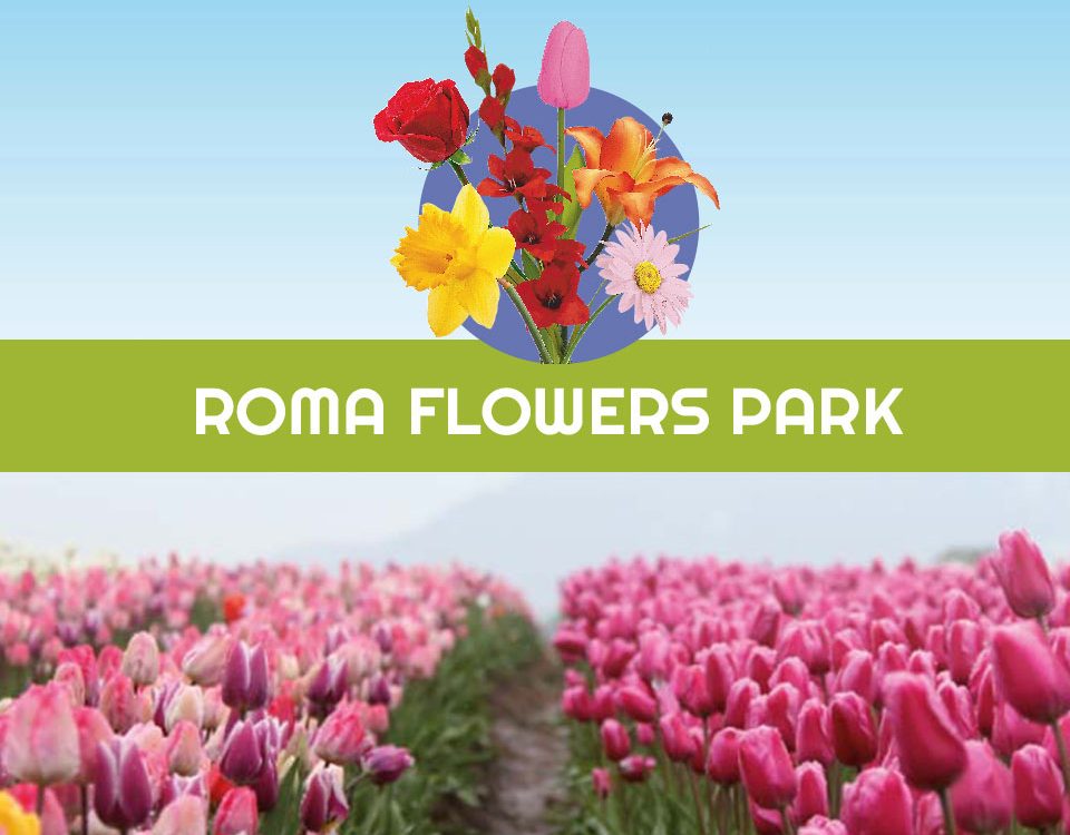 roma flowers park
