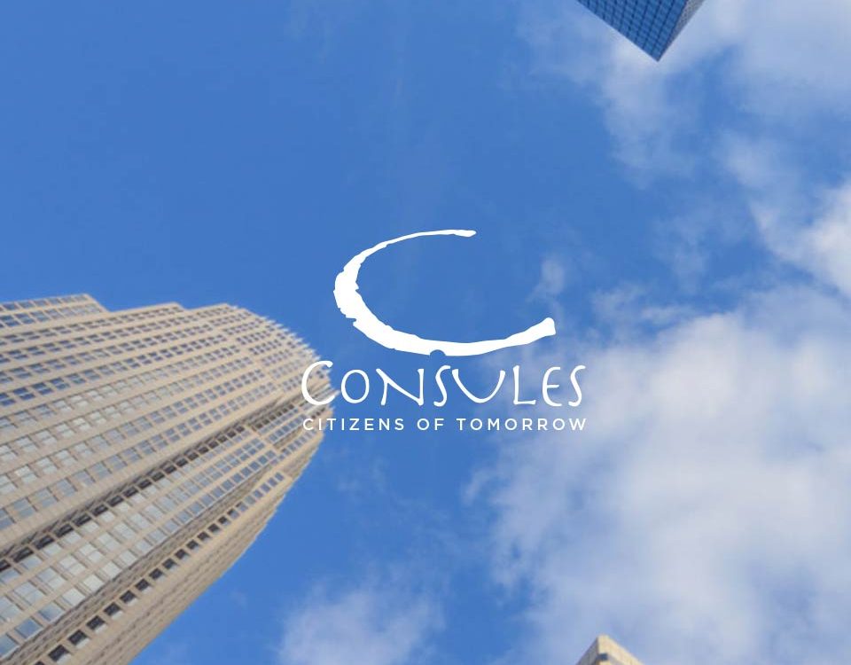 Consules - Keyin web agency Roma